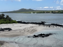 Galapagos, Floreana