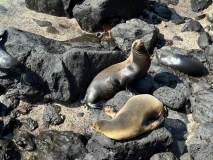 Galapagos, Puerto Baquerizo Moreno