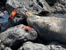 Galapagos, Puerto Baquerizo Moreno