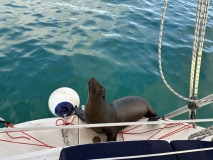 Galapagos, Puerto Baquerizo Moreno