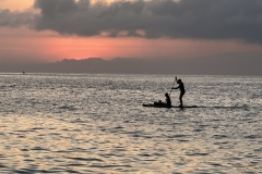 East and South Pacific 2024