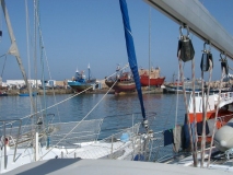 IMGP1575