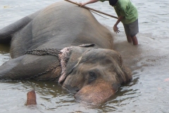 Sri Lanka 2009
