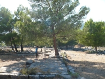 P1020224
