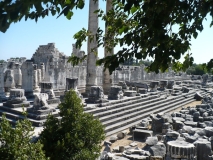 P1020266