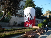 P1020271