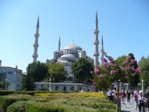 P1020317