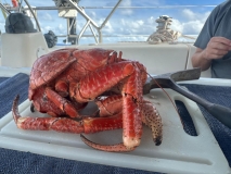 Nuie, Coconut Crab