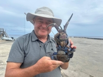 Nuie, Coconut Crab