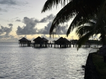 Samoa, 10th WA